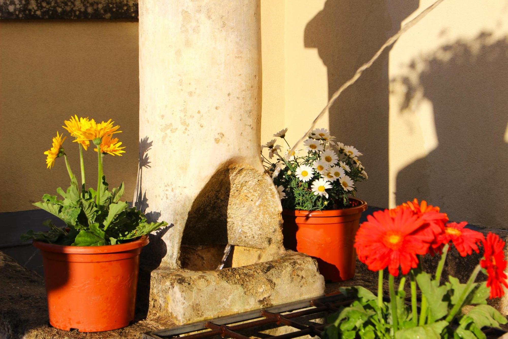 Palazzo Aurora Bed & Breakfast Alezio Luaran gambar